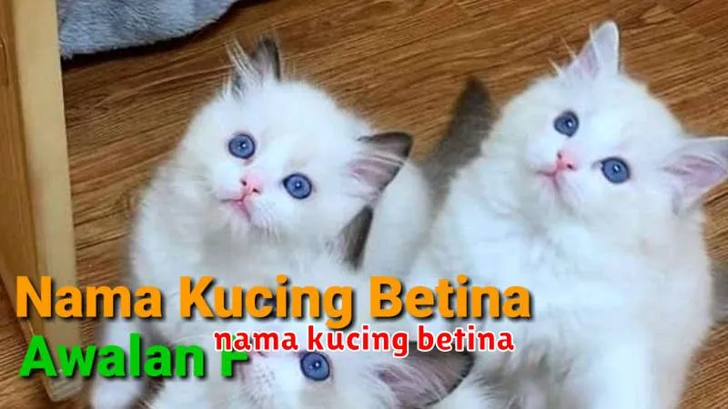 nama kucing betina