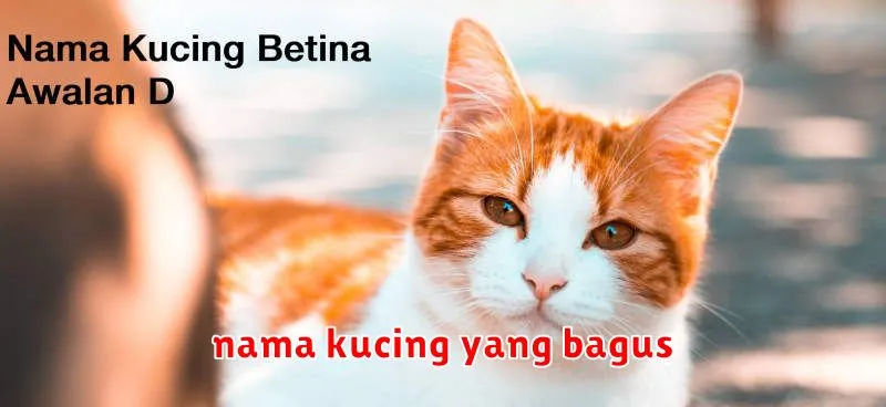 nama kucing yang bagus