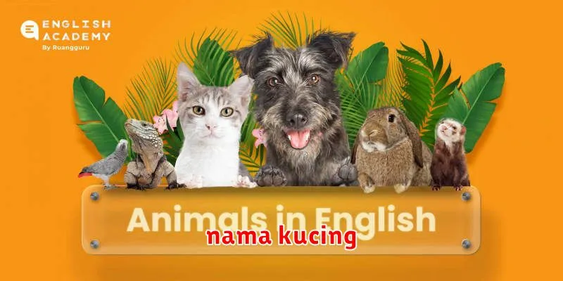 nama kucing