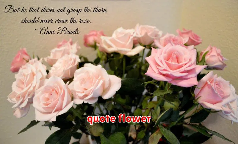 quote flower