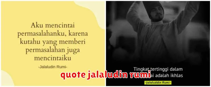 quote jalaludin rumi