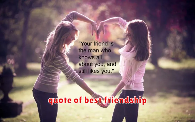 quote of best friendship