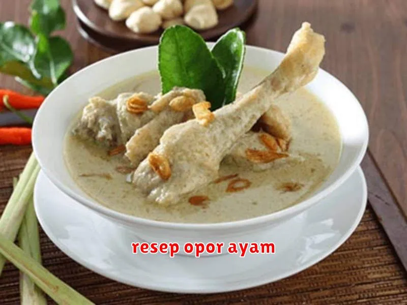 resep opor ayam