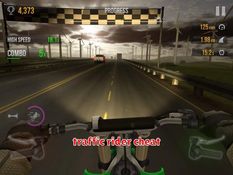 traffic rider cheat