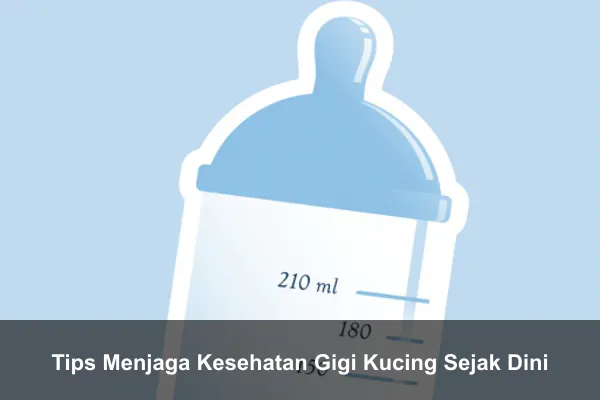 Tips Menjaga Kesehatan Gigi Kucing Sejak Dini