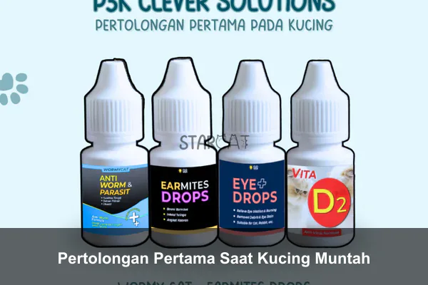 Pertolongan Pertama Saat Kucing Muntah