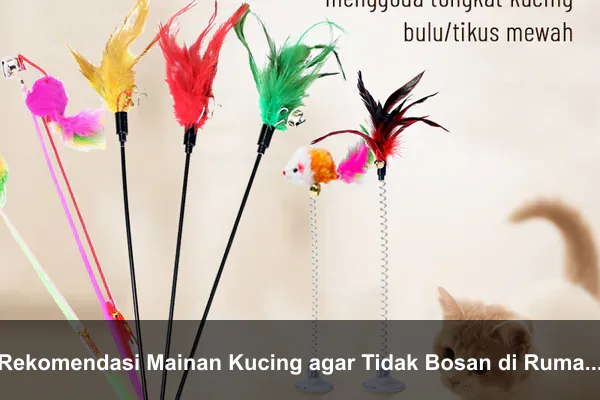 Rekomendasi Mainan Kucing agar Tidak Bosan di Rumah