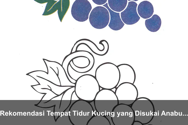 Rekomendasi Tempat Tidur Kucing yang Disukai Anabul