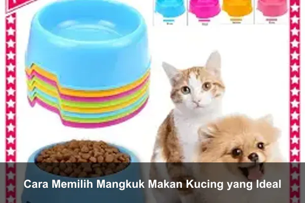 Cara Memilih Mangkuk Makan Kucing yang Ideal