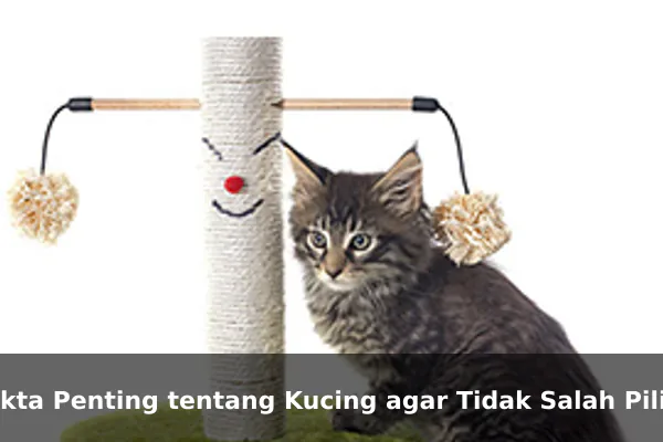 Fakta Penting tentang Kucing agar Tidak Salah Pilih