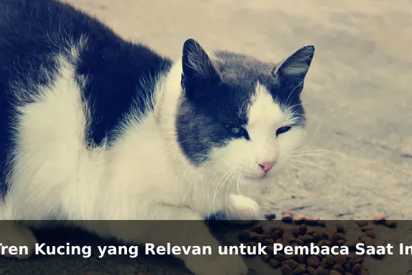 Tren Kucing yang Relevan untuk Pembaca Saat Ini
