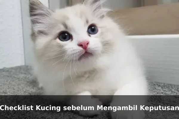 Checklist Kucing sebelum Mengambil Keputusan