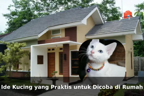 Ide Kucing yang Praktis untuk Dicoba di Rumah