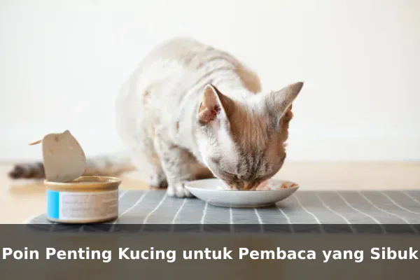 Poin Penting Kucing untuk Pembaca yang Sibuk