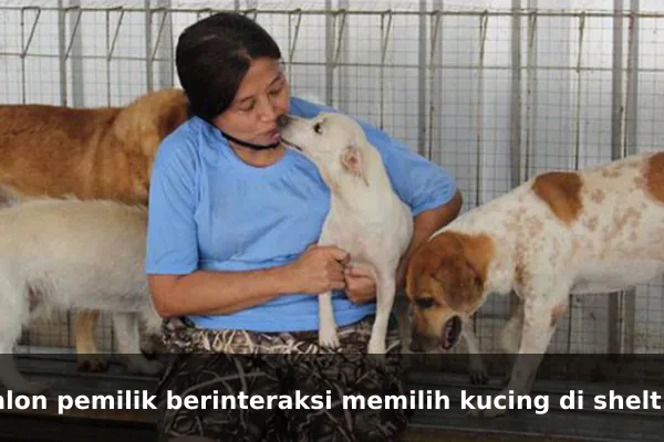 calon pemilik berinteraksi memilih kucing di shelter adopsi