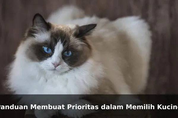 Panduan Membuat Prioritas dalam Memilih Kucing