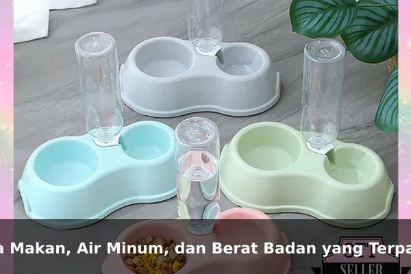Pola Makan, Air Minum, dan Berat Badan yang Terpantau