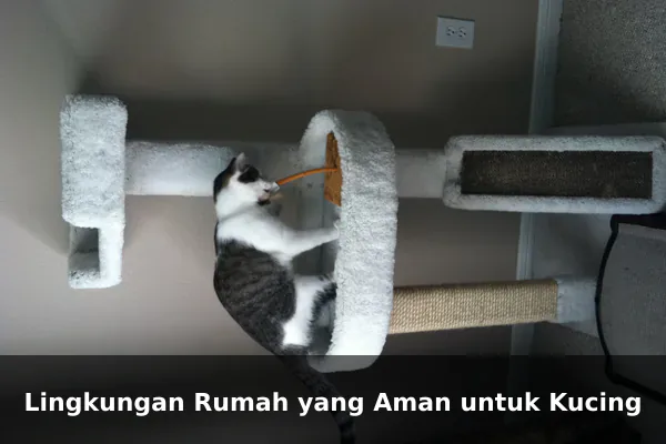 Lingkungan Rumah yang Aman untuk Kucing