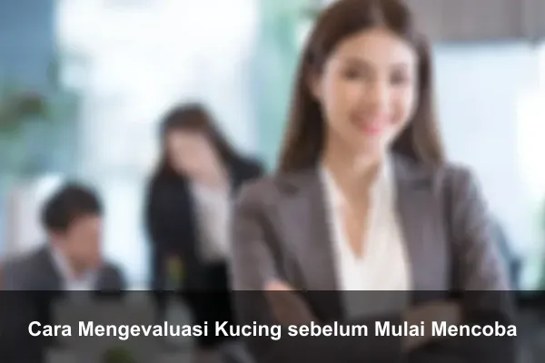 Cara Mengevaluasi Kucing sebelum Mulai Mencoba