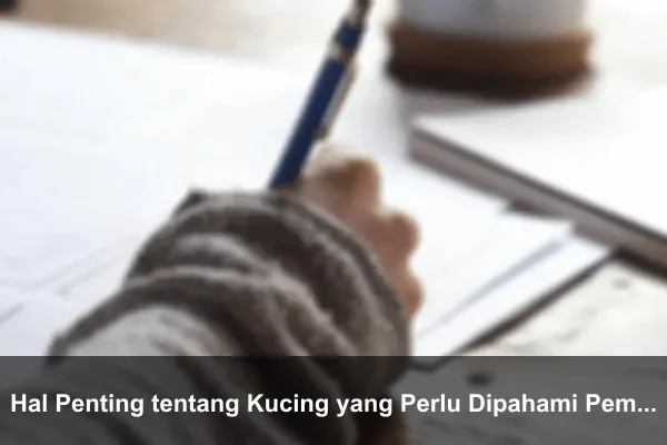 Hal Penting tentang Kucing yang Perlu Dipahami Pemula