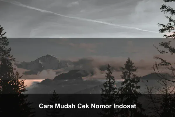 Cara Mudah Cek Nomor Indosat