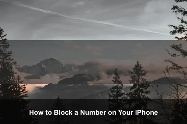 How to Block a Number on Your iPhone