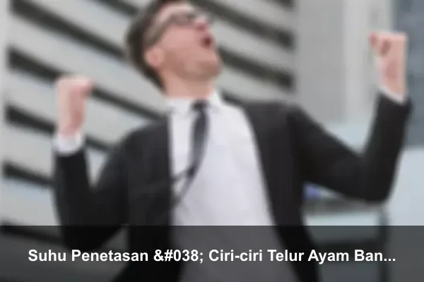 Suhu Penetasan & Ciri-ciri Telur Ayam Bangkok tidak Menetas