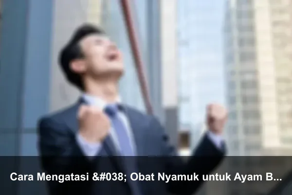 Cara Mengatasi & Obat Nyamuk untuk Ayam Bangkok Bengkak digigit pada Musim Nyamuk