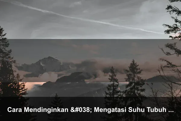 Cara Mendinginkan & Mengatasi Suhu Tubuh Badan Ayam Bangkok Aduan Panas