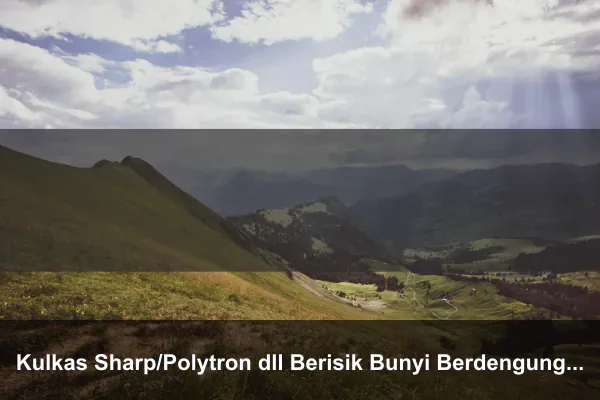 Kulkas Sharp/Polytron dll Berisik Bunyi Berdengung Keras Pletak Tok Tok Tek Tek