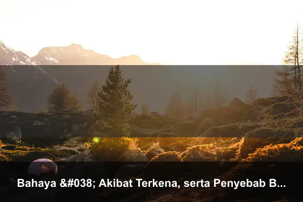 Bahaya & Akibat Terkena, serta Penyebab Bersin Kucing bagi Manusia