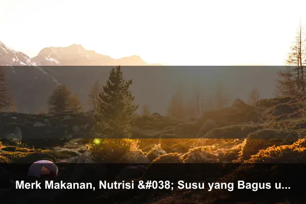 Merk Makanan, Nutrisi & Susu yang Bagus untuk Kucing Menyusui