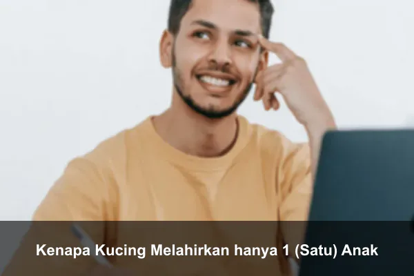 Kenapa Kucing Melahirkan hanya 1 (Satu) Anak