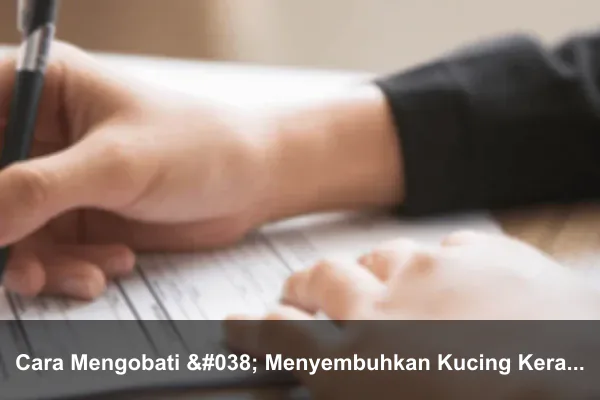 Cara Mengobati & Menyembuhkan Kucing Keracunan Racun Tikus