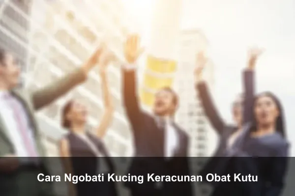 Cara Ngobati Kucing Keracunan Obat Kutu