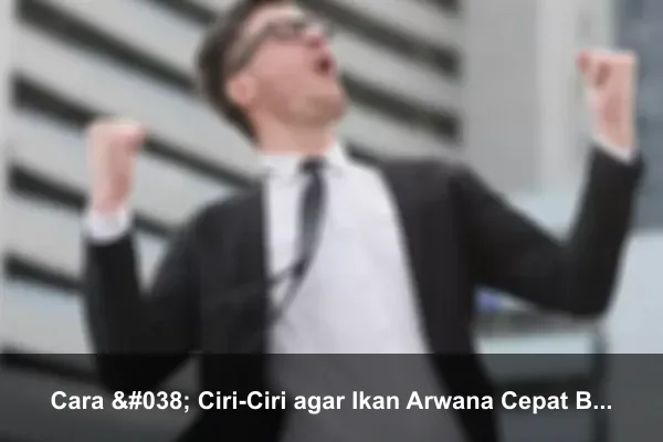 Cara & Ciri-Ciri agar Ikan Arwana Cepat Bertelur
