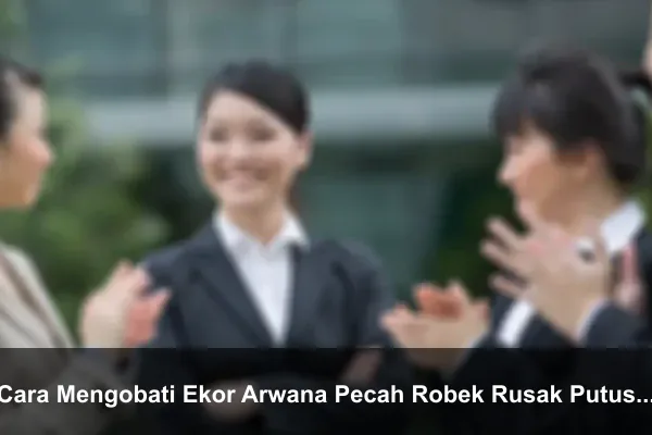 Cara Mengobati Ekor Arwana Pecah Robek Rusak Putus Patah bisa Tumbuh Lagi
