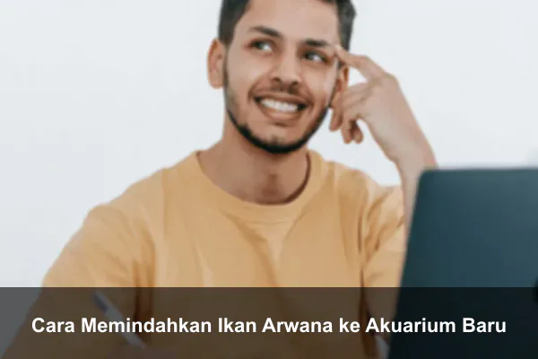 Cara Memindahkan Ikan Arwana ke Akuarium Baru