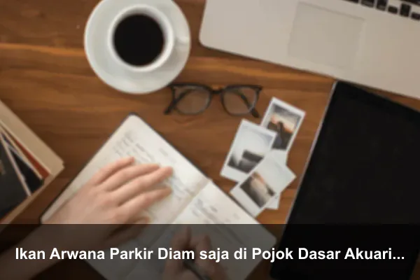 Ikan Arwana Parkir Diam saja di Pojok Dasar Akuarium