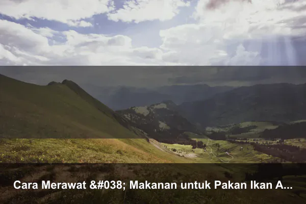 Cara Merawat & Makanan untuk Pakan Ikan Arwana agar Cepat Besar