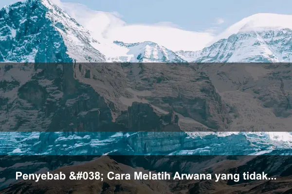 Penyebab & Cara Melatih Arwana yang tidak mau Makan Udang