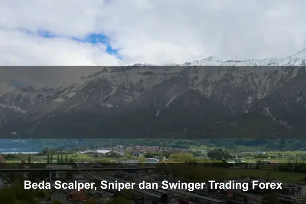 Beda Scalper, Sniper dan Swinger Trading Forex