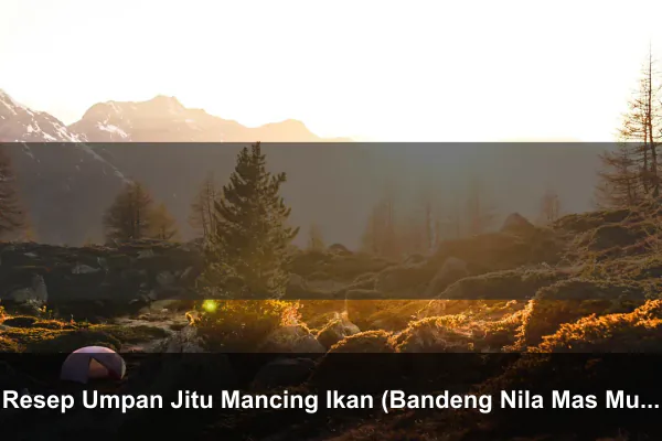 Resep Umpan Jitu Mancing Ikan (Bandeng Nila Mas Mujair) Air Payau Jos