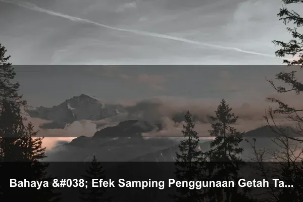 Bahaya & Efek Samping Penggunaan Getah Tanaman Bunga Kitolod