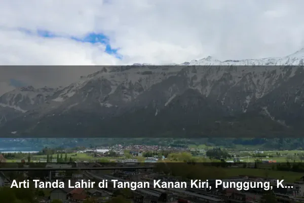 Arti Tanda Lahir di Tangan Kanan Kiri, Punggung, Kepala & Tubuh