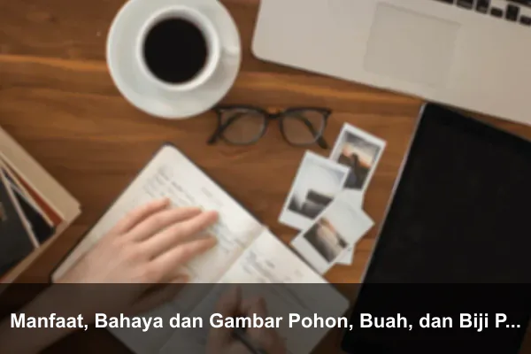 Manfaat, Bahaya dan Gambar Pohon, Buah, dan Biji Polokyo