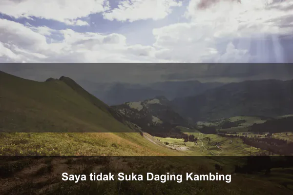 Saya tidak Suka Daging Kambing