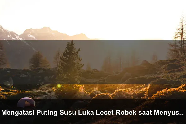 Mengatasi Puting Susu Luka Lecet Robek saat Menyusui agar Cepat Kering dan Sembuh