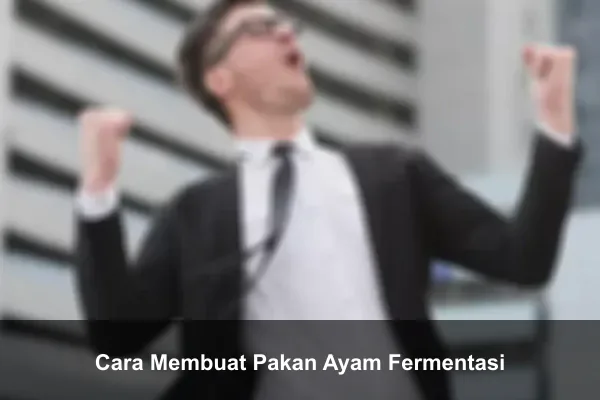 Cara Membuat Pakan Ayam Fermentasi
